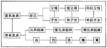 一看就会直系血亲、旁系血亲及其代数的判定，看看你算不算近亲结婚