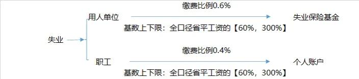 社保是如何构成，缴费基数，缴费比例又是如何规定的