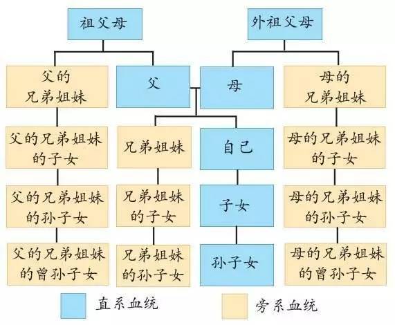 一看就会直系血亲、旁系血亲及其代数的判定，看看你算不算近亲结婚