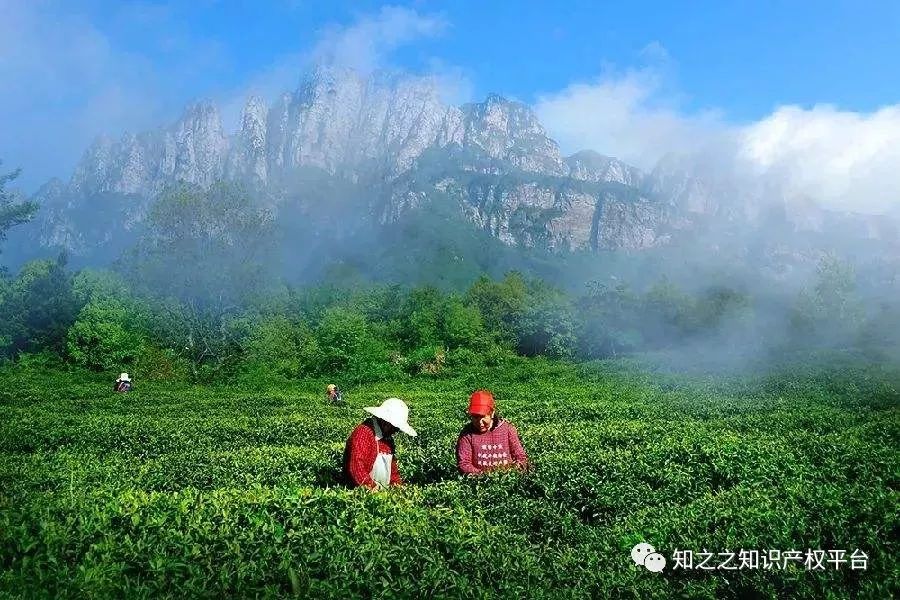 地理标志商标是什么？看过下面这5点，你就知道啦