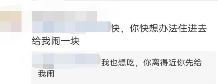 一夜爆红的“宛平南路600号”月饼是如何诞生的？限量1000份，目前已有800多份被预定