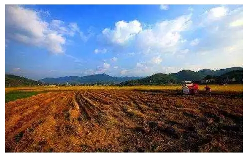 土地被征收，这五项土地补偿，一个都不能少