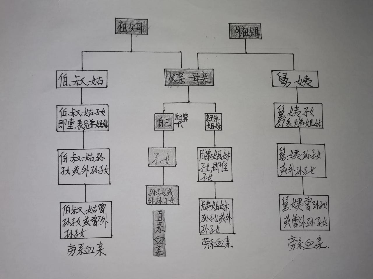 民法典中的直系和三代以内的旁系