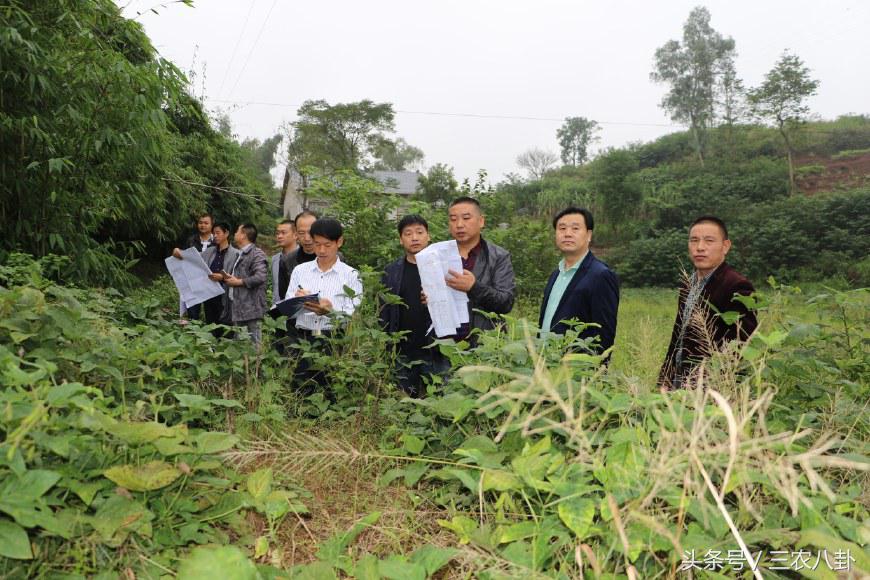 农村征地有大变化！这些问题农民要了解，否则拿不到征地补偿！