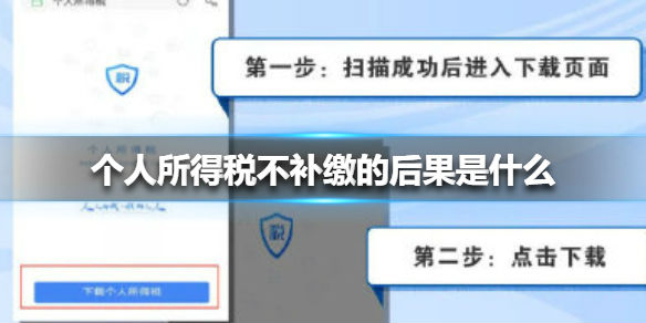 个人所得税不申报补税会怎样 个人所得税不补缴的后果影响