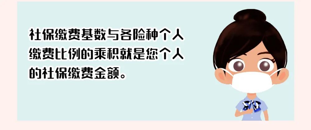 1分钟教会员工查询自己的社保缴费金额