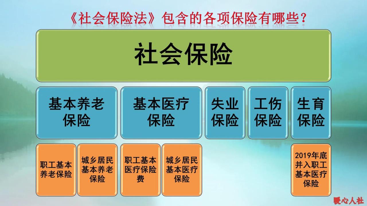 社保到底包括哪些内容呢？大学生是不是不急着缴社保？答案在这里