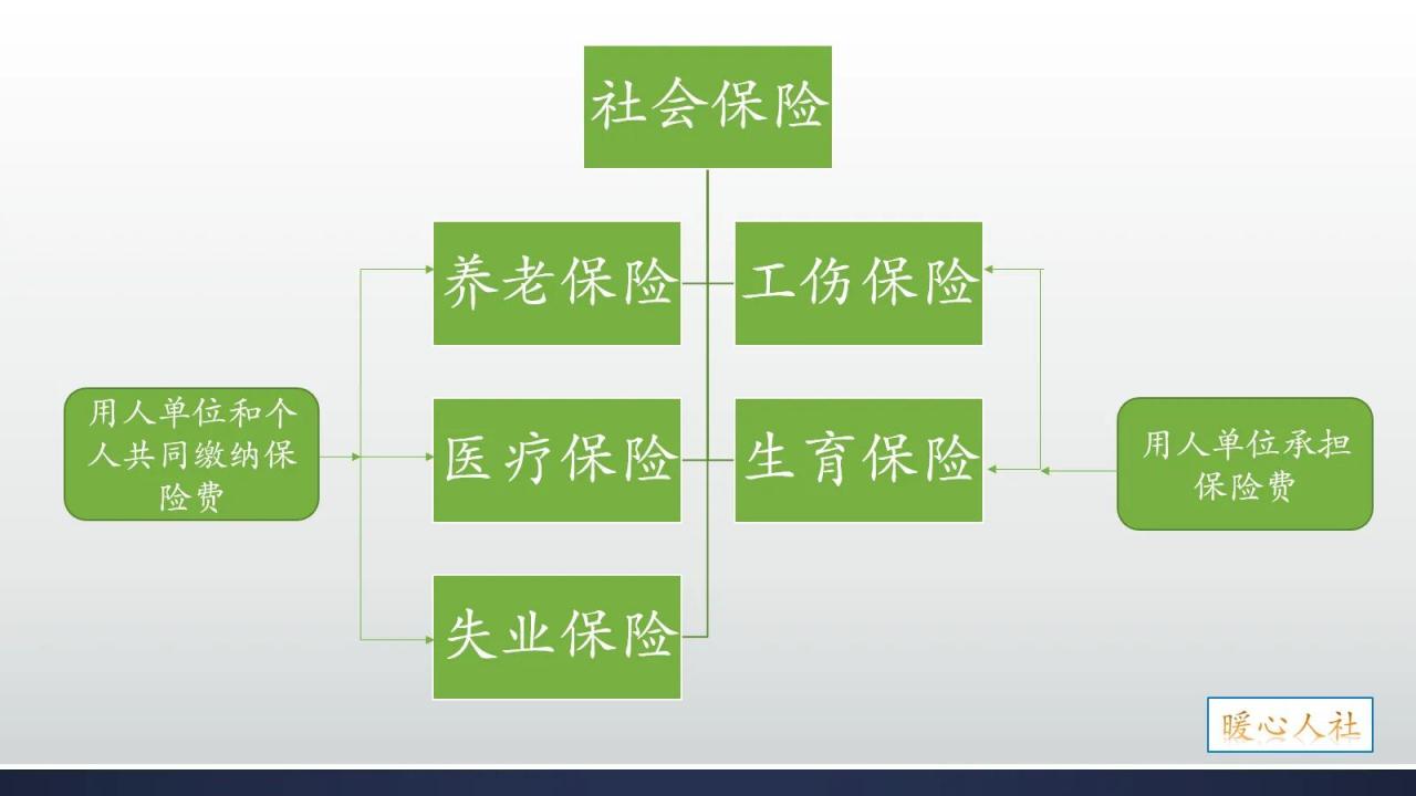 个人主动离职，怎样才能才能让社保不中断，让自己损失降到最低？