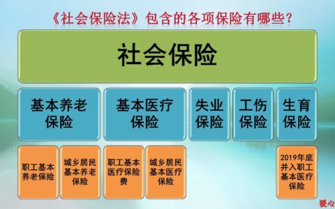 辞职后五险自己怎么交及离职社保转个人交办理步骤