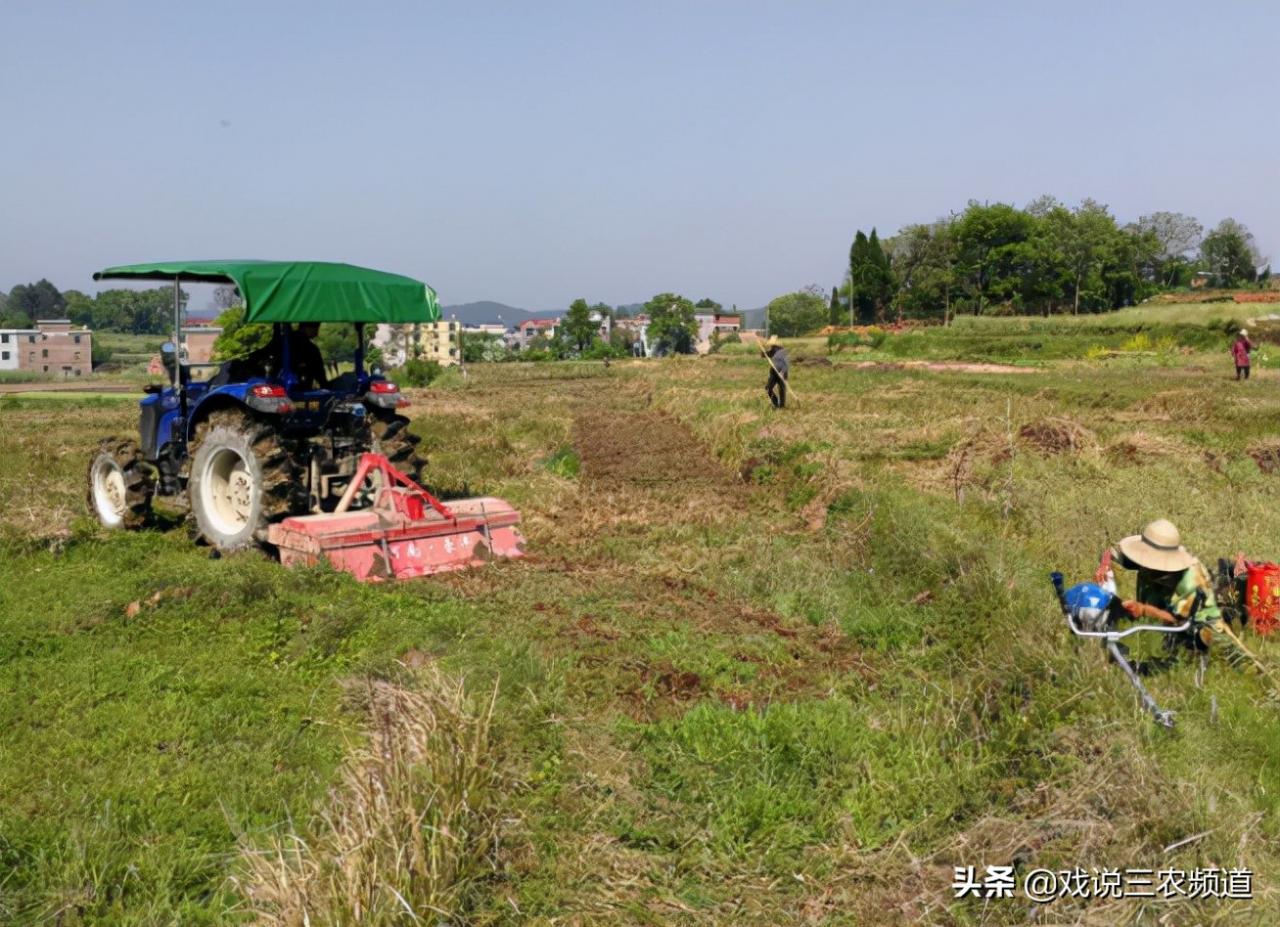 闲置土地“大摸底”，“集体流转”拿分红！“1清3改”落地，期待