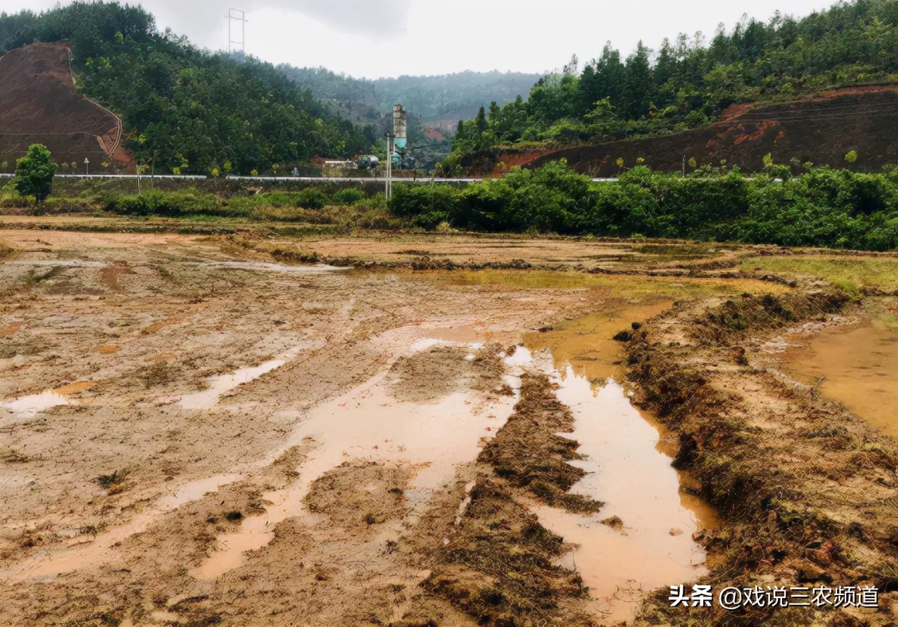 闲置土地“大摸底”，“集体流转”拿分红！“1清3改”落地，期待