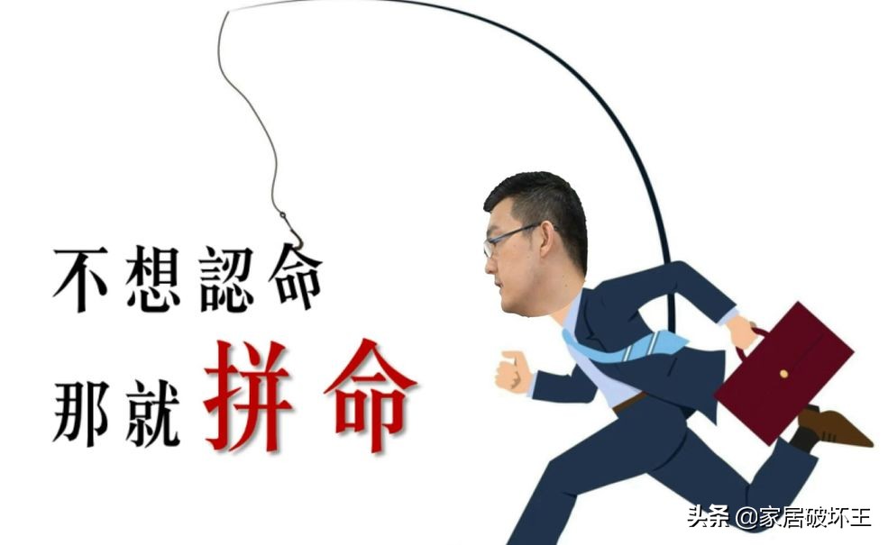 关于自如，我只能告诉你这么多了