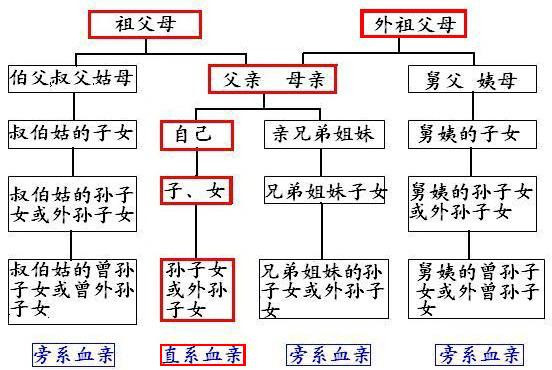 直系血亲和三代旁系血亲的具体范围